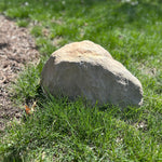 Tan Rock Hidden Camera