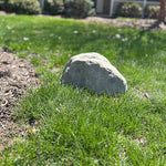 Grey Rock Hidden Camera