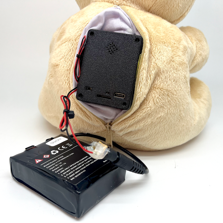 SG Xtreme Life Teddy Bear with Hidden Camera