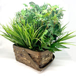 Xtreme Life 4K Plant Camera DVR