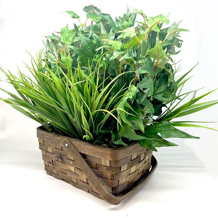 Xtreme Life 4K Plant Camera DVR