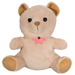 SG Xtreme Life Teddy Bear with Hidden Camera